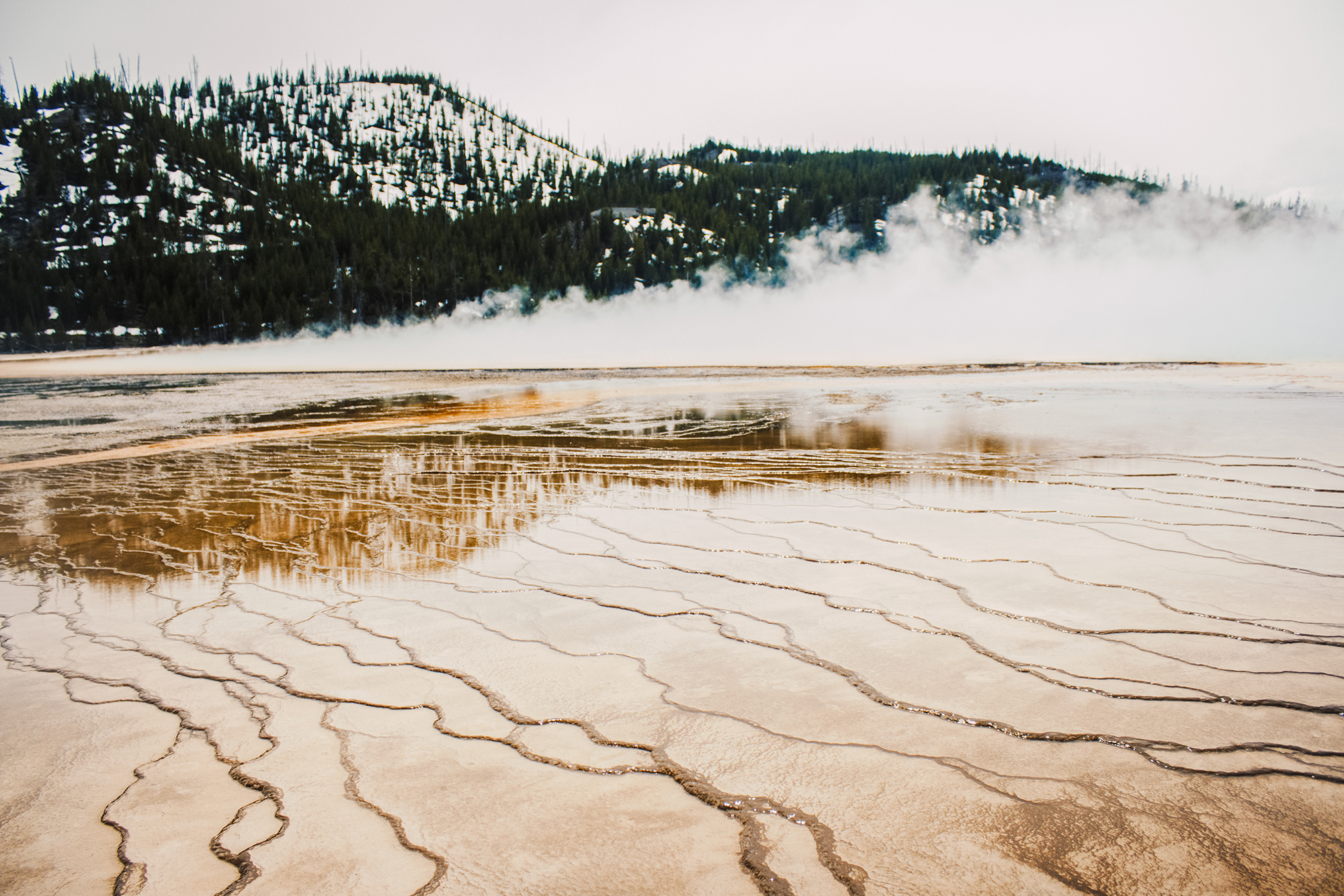 Yellowstone National Park Geyser smoke | Hayley Moore Photography | Fort Wayne, Indiana Photographer | www.hayleymoore.com