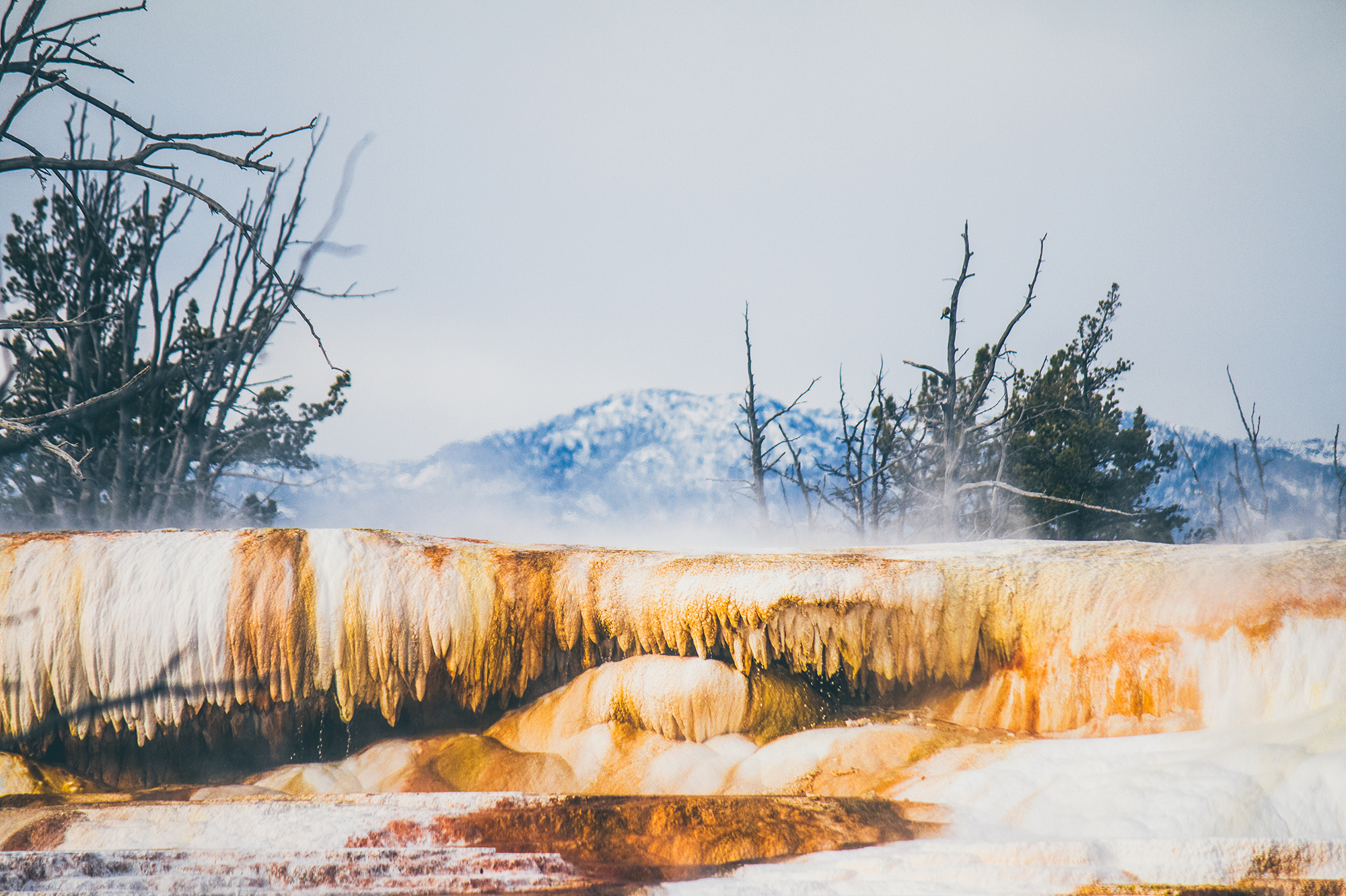 Yellowstone National Park springs geyser | Hayley Moore Photography | Fort Wayne, Indiana Photographer | www.hayleymoore.com