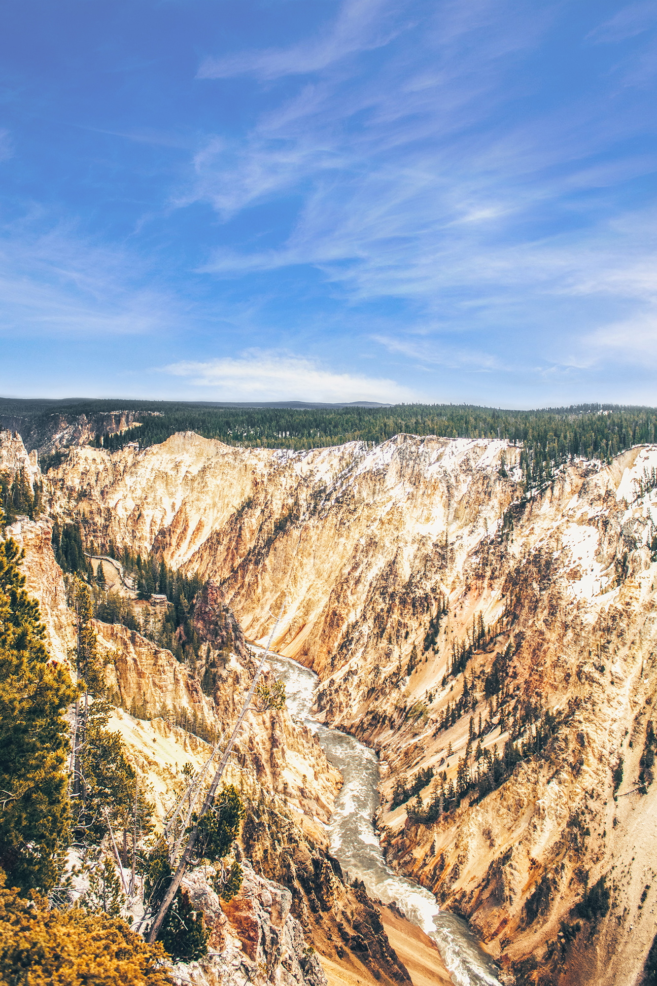 Yellowstone National Park Canyon | Hayley Moore Photography | Fort Wayne, Indiana Photographer | www.hayleymoore.com