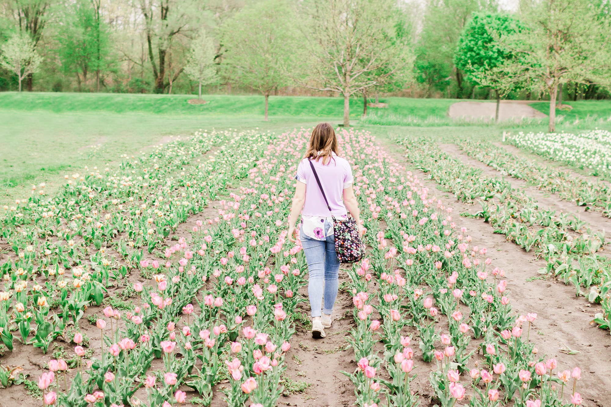Woman walking through tulip fields, Holland Michigan | Hayley Moore Photography | Fort Wayne, Indiana Photographer | www.hayleymoore.com