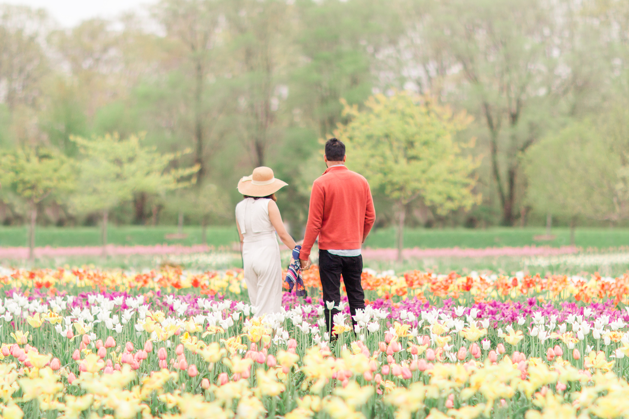 Couple holding hands in tulip field, Holland Michigan | Hayley Moore Photography | Fort Wayne, Indiana Photographer | www.hayleymoore.com