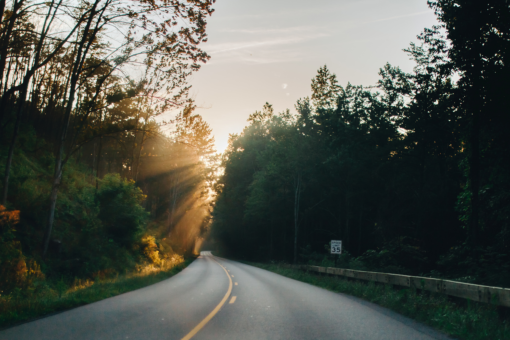 Smoky Mountain Road during sunrise | Gatlinburg, TN | Hayley Moore Photography | www.hayleymoore.com | Fort Wayne Indiana Photographer