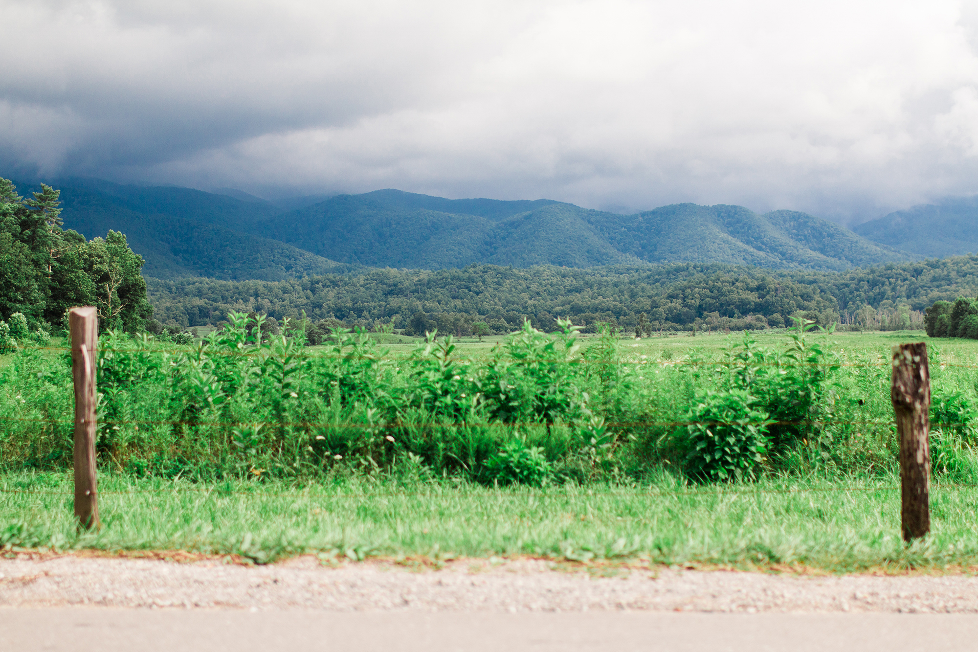 Cades Cove Mountain Overlook | Gatlinburg, TN | Hayley Moore Photography | www.hayleymoore.com | Fort Wayne Indiana Photographer