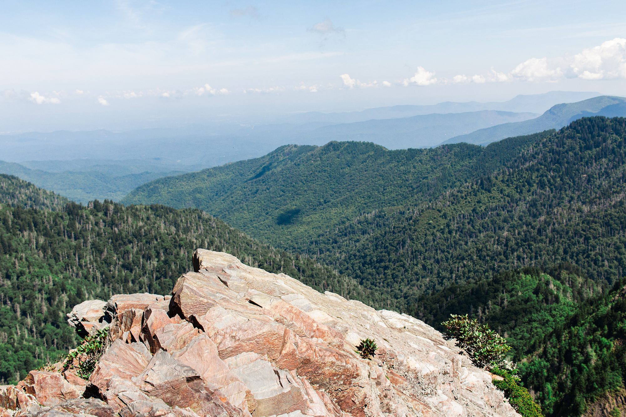 Charlies Bunion Appalachian Trail Overlook | Gatlinburg, TN | Hayley Moore Photography | www.hayleymoore.com | Fort Wayne Indiana Photographer