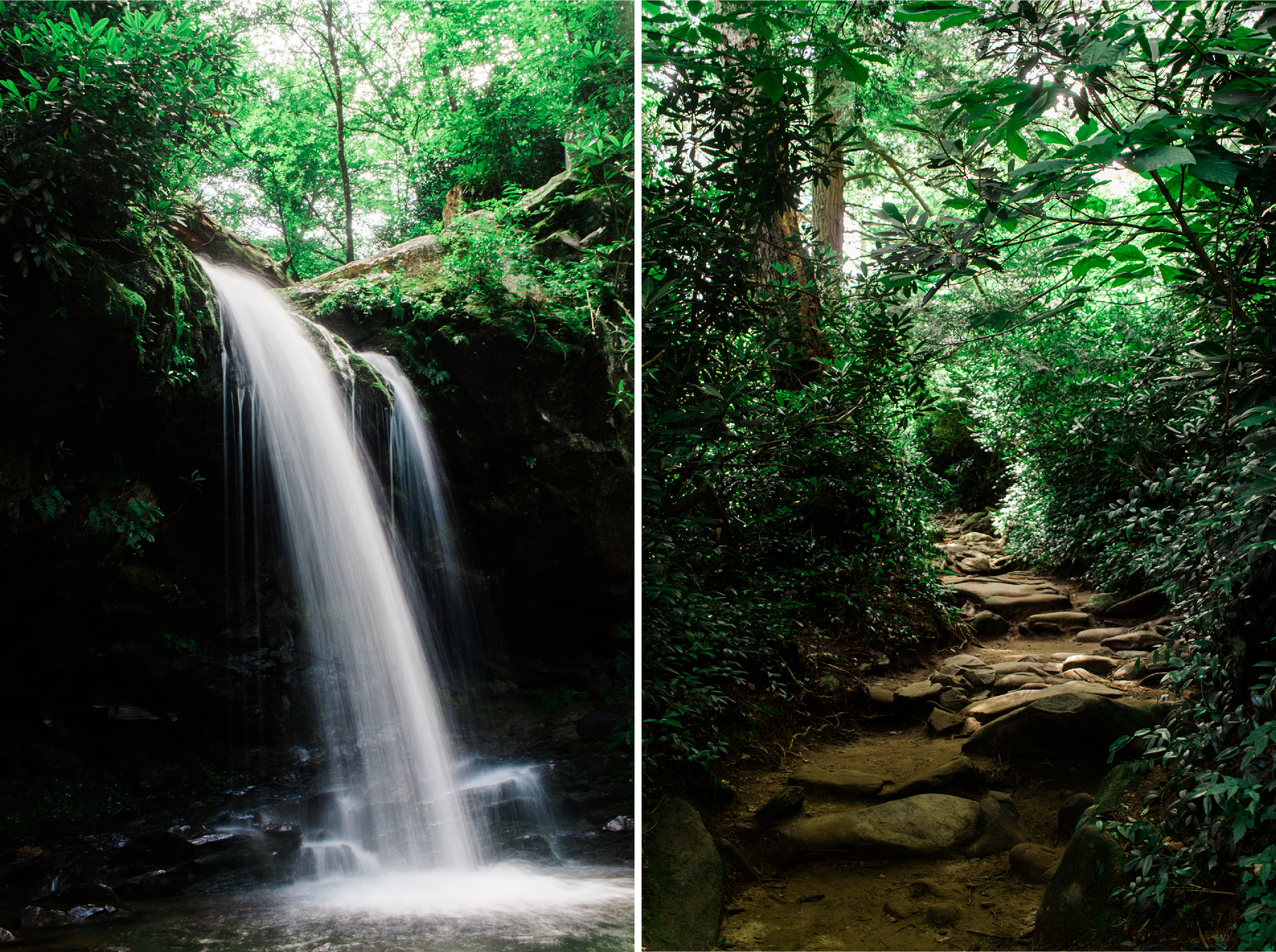 Smoky Mountain Grotto Falls trail waterfalls | Gatlinburg, TN | Hayley Moore Photography | www.hayleymoore.com | Fort Wayne Indiana Photographer