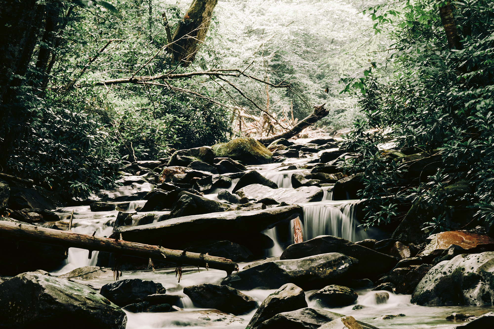 Long exposure waterfall stream alum cave trail | Gatlinburg, TN | Hayley Moore Photography | www.hayleymoore.com | Fort Wayne Indiana Photographer