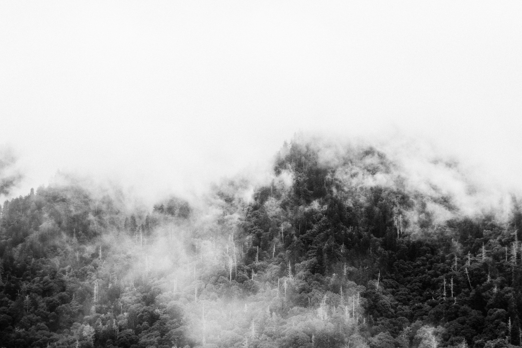 Black and white smoky mountains landscape | Gatlinburg, TN | Hayley Moore Photography | www.hayleymoore.com | Fort Wayne Indiana Photographer