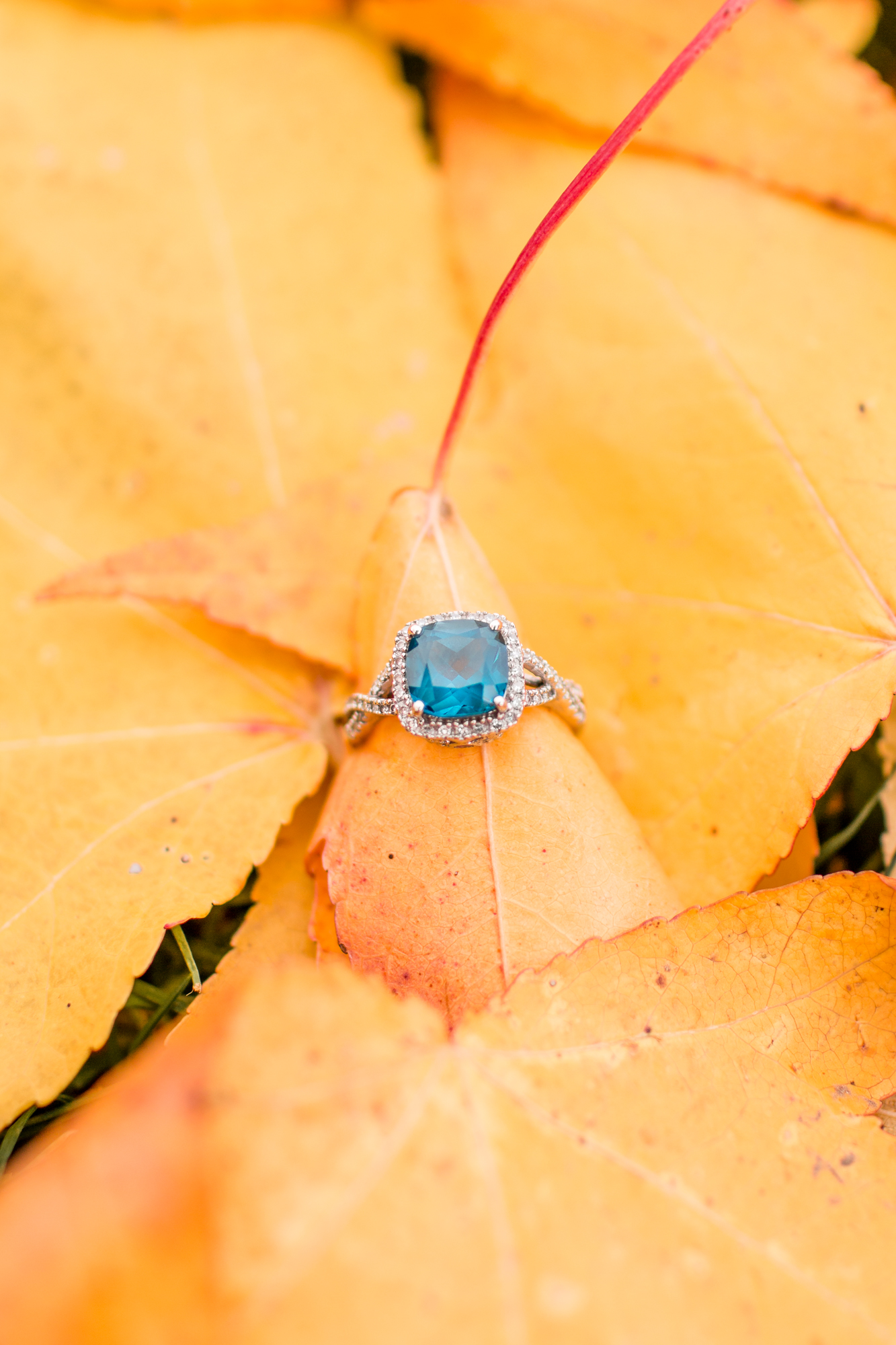 hayley-moore-photography-fort-wayne-indiana-wedding-photographer-engagement-fall-session-midwest-ohio-michigan-chicago-photographer