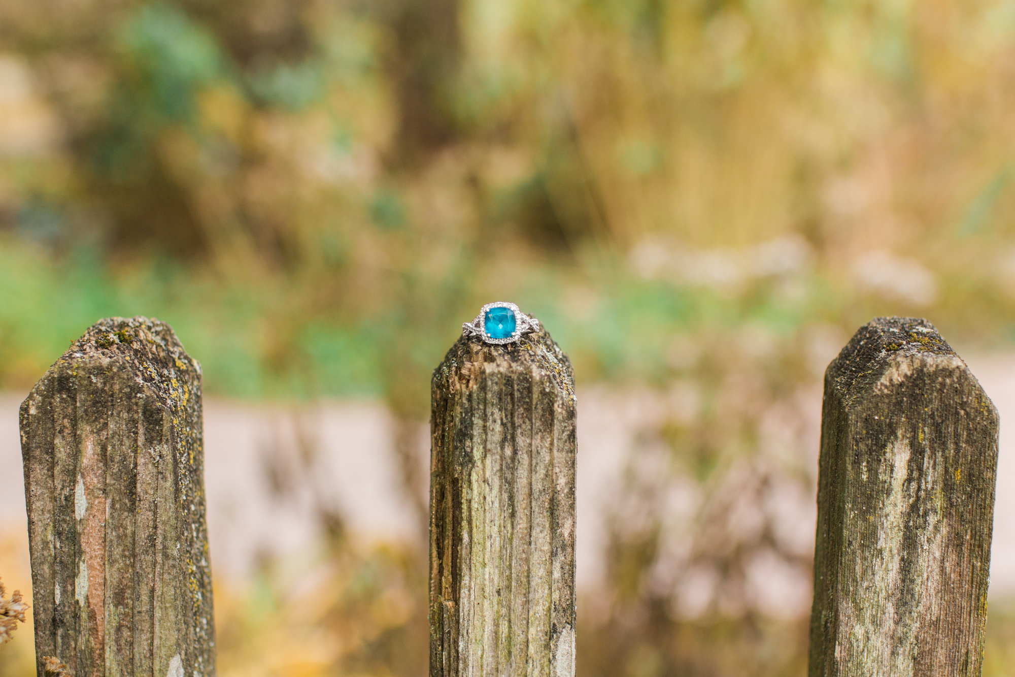 hayley-moore-photography-fort-wayne-indiana-wedding-photographer-engagement-fall-session-midwest-ohio-michigan-chicago-photographer