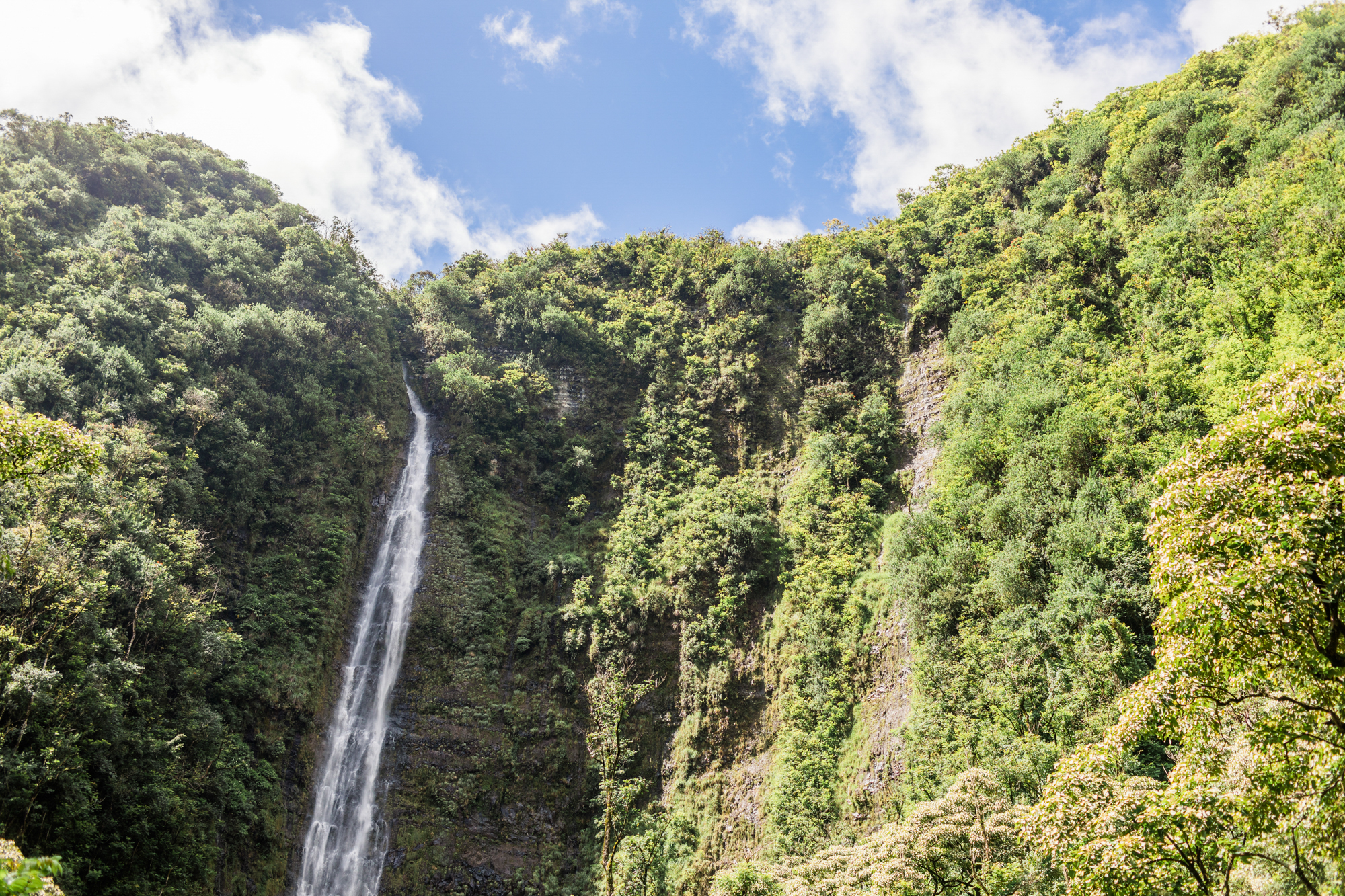 Maui-Hawaii-Honeymoon-Hayley-Moore-Photography-Hawaii-Maui-Wedding-Photographer