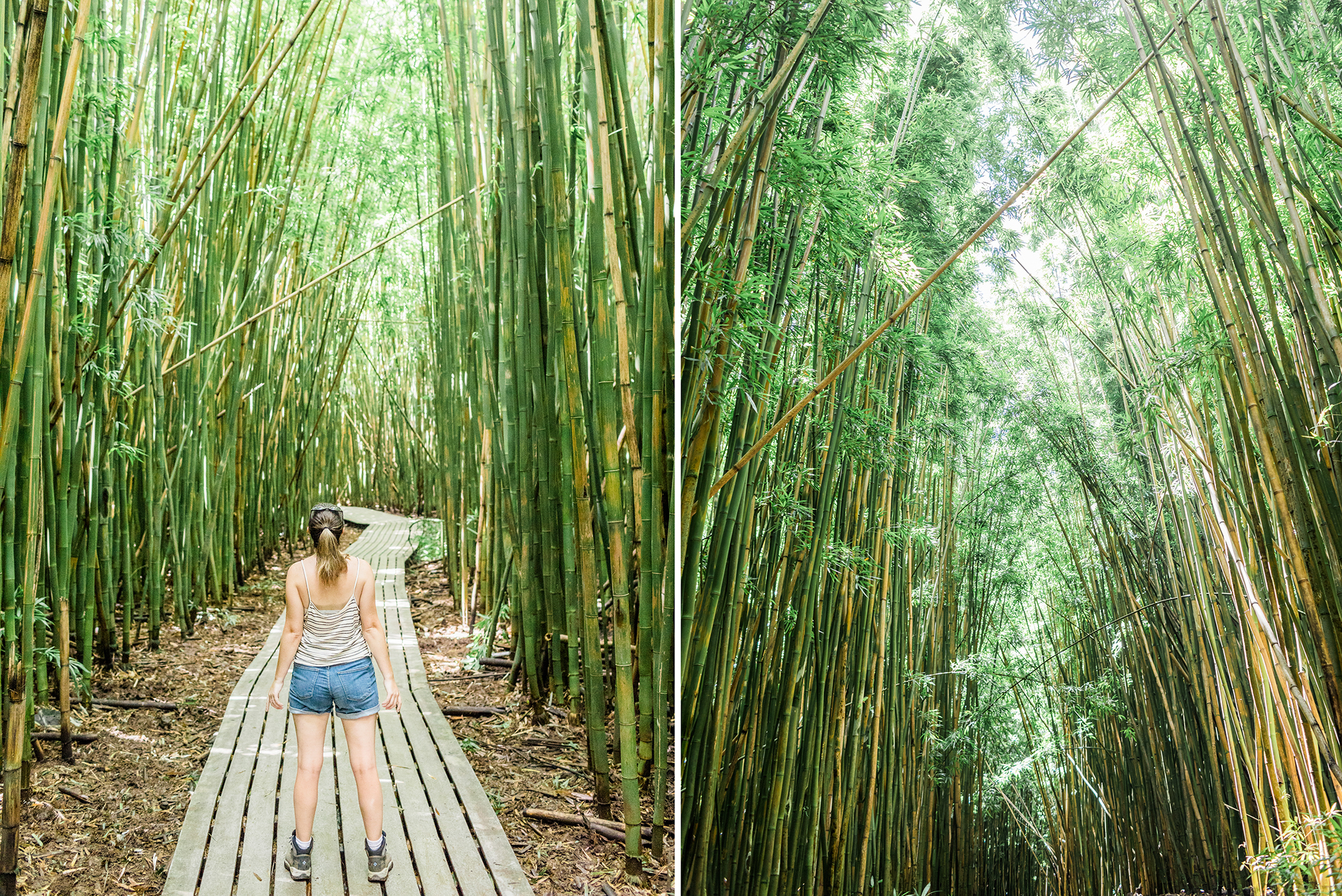 Maui-Hawaii-Honeymoon-Hayley-Moore-Photography-Hawaii-Maui-Wedding-Photographer