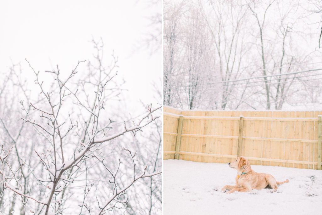 hayley-moore-photography-winter-2020-fort-wayne-indiana