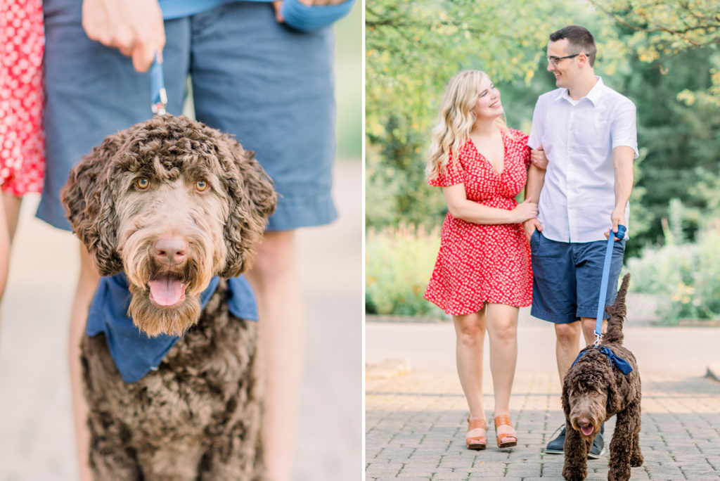 hayley-moore-photography-columbus-engagement-photographer-inniswood-gardens-alum-creek-ohio