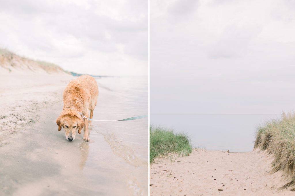 hayley-moore-photography-lake-michigan-engagement-photographer-warren-dunes-state-park-dog-beach