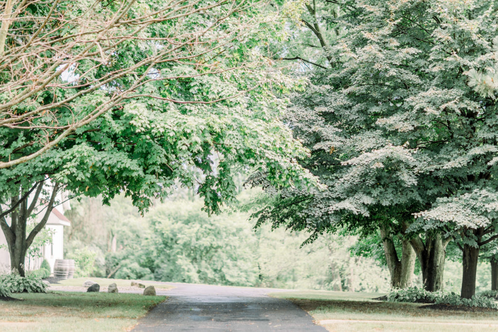 hayley-moore-photography-indianapolis-wedding-photographer-the-loft-on-isanogel-weddings-indiana