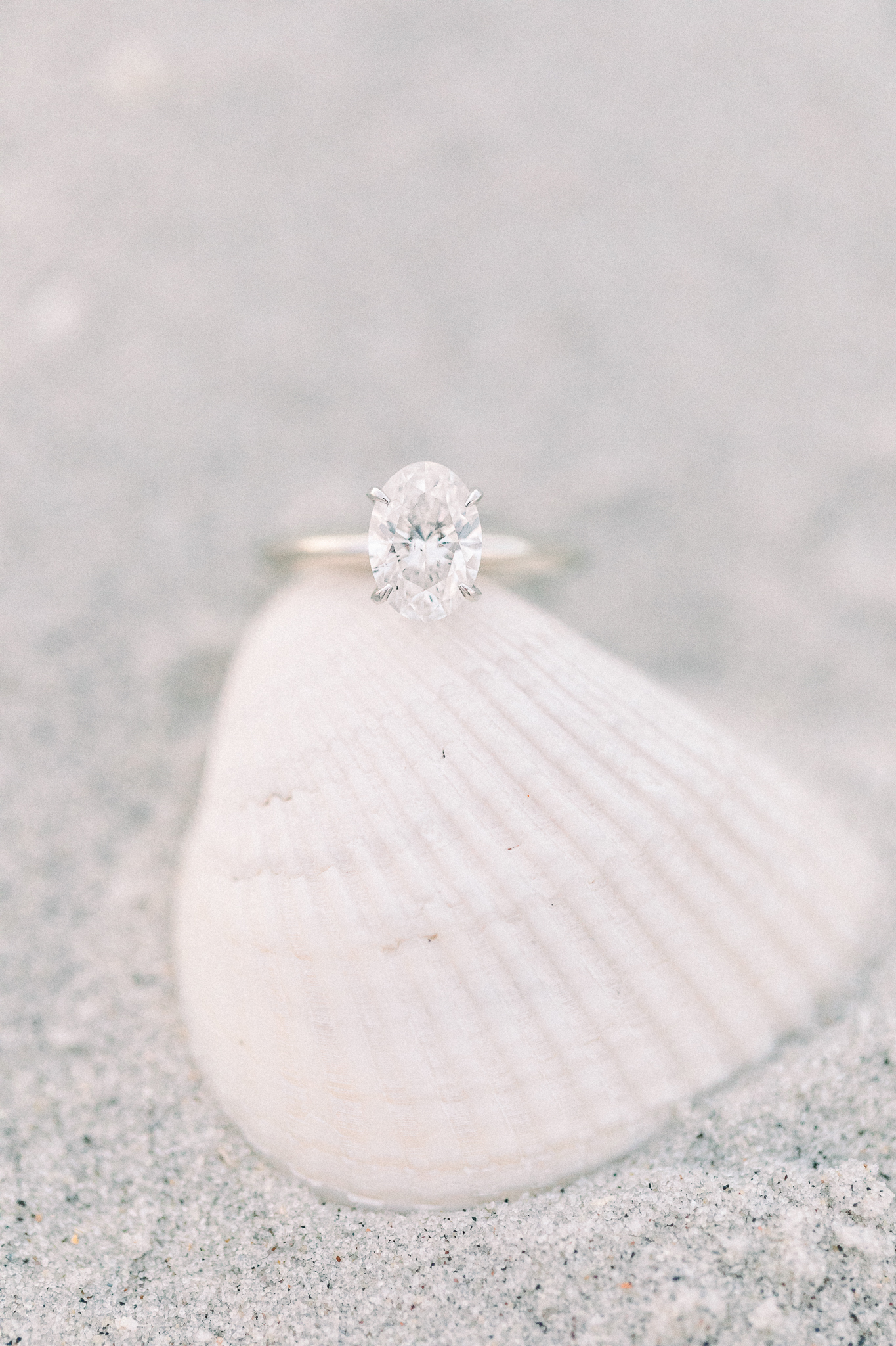 hayley-moore-photography-olivia-walker-airlie-gardens-wrightsville-beach-engagement-north-carolina