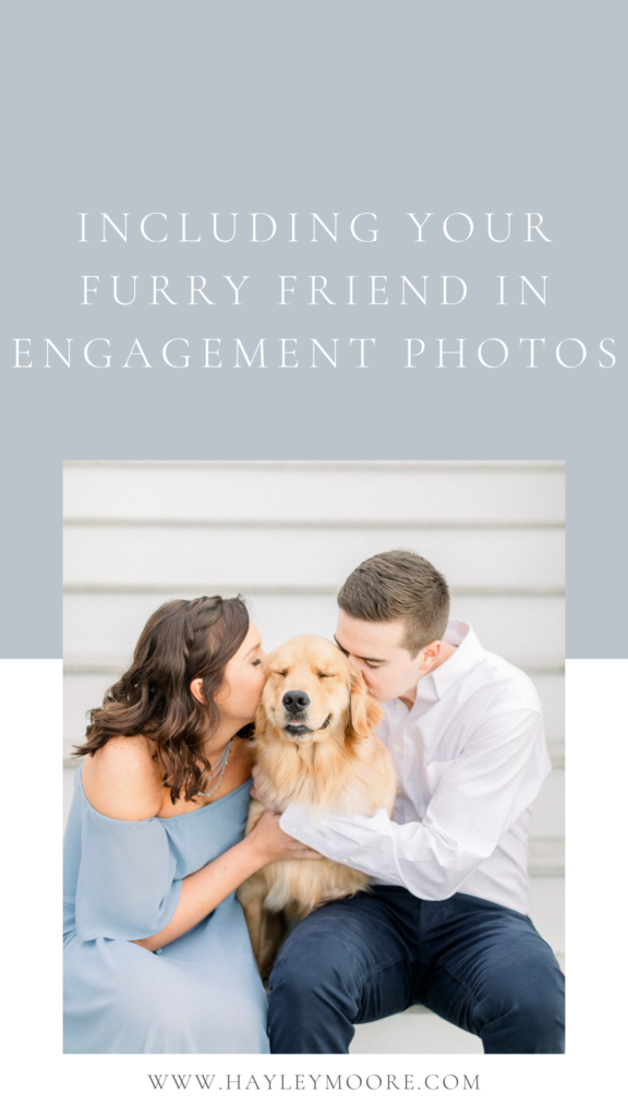 Including Your Furry Friend In Engagement Photos