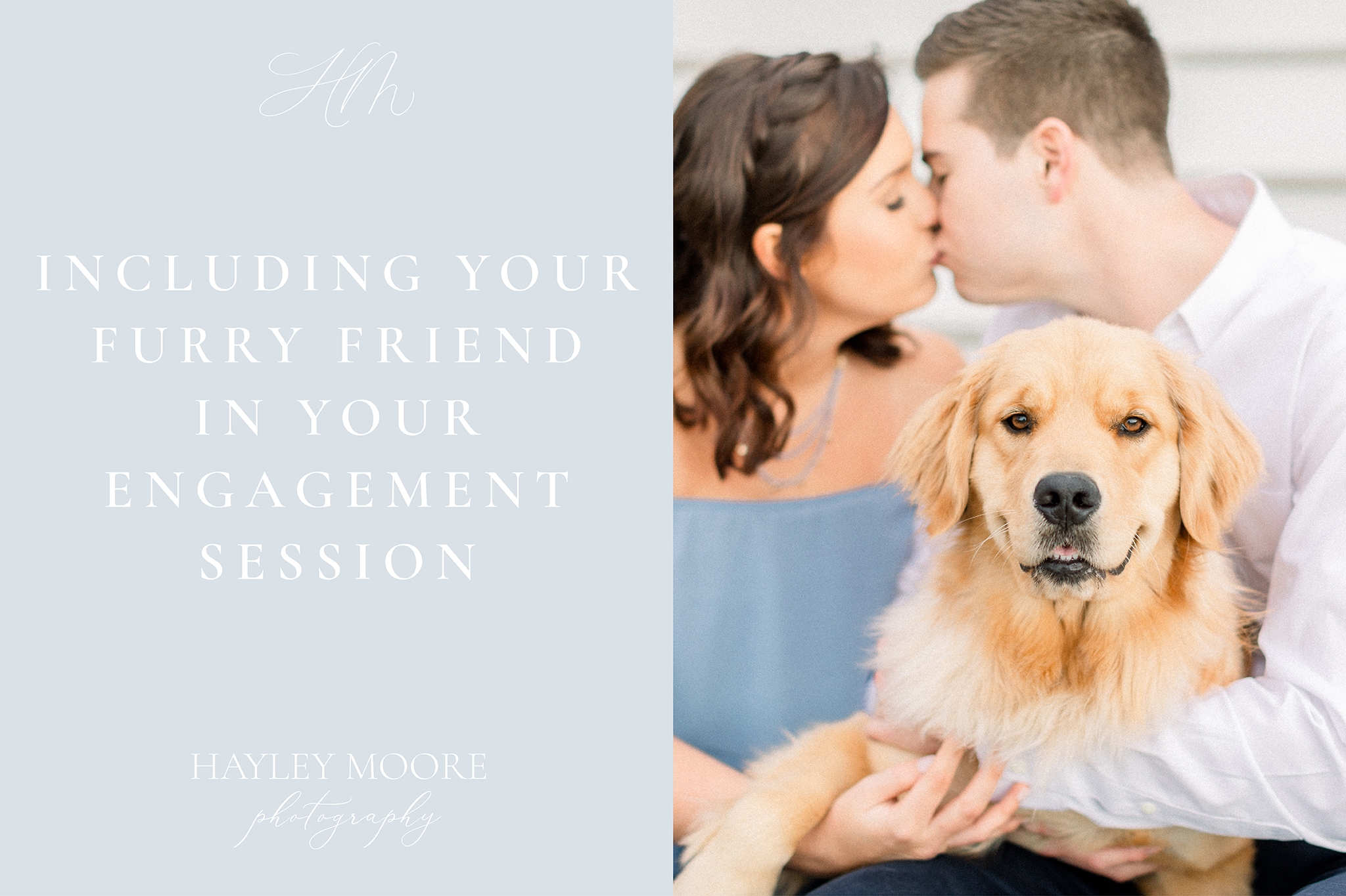 Including-Your-Furry-Friend-In-Engagement-Photos