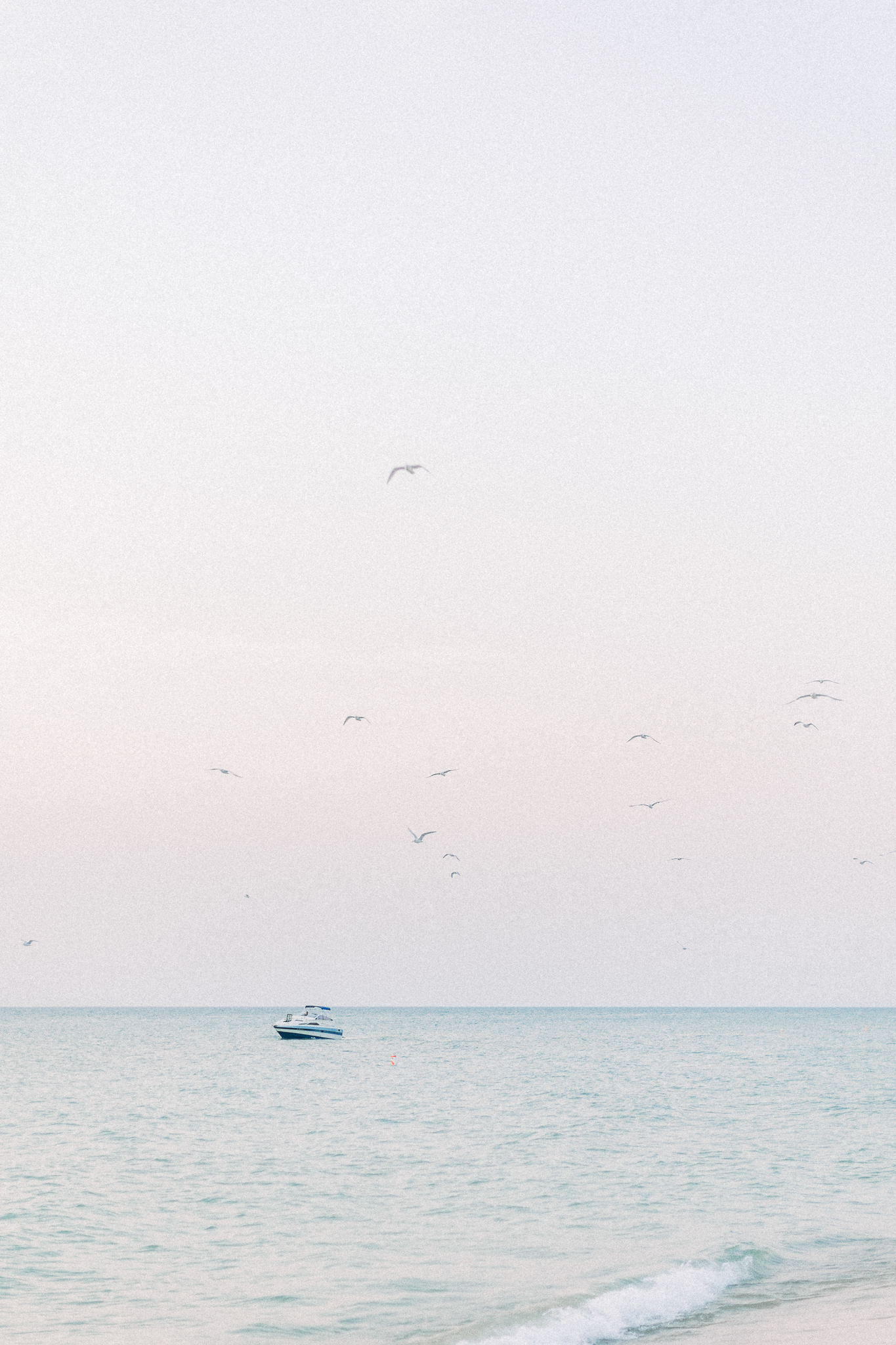 hayley-moore-photography-lauren-brad-warren-dunes-michigan-engagement-photographer