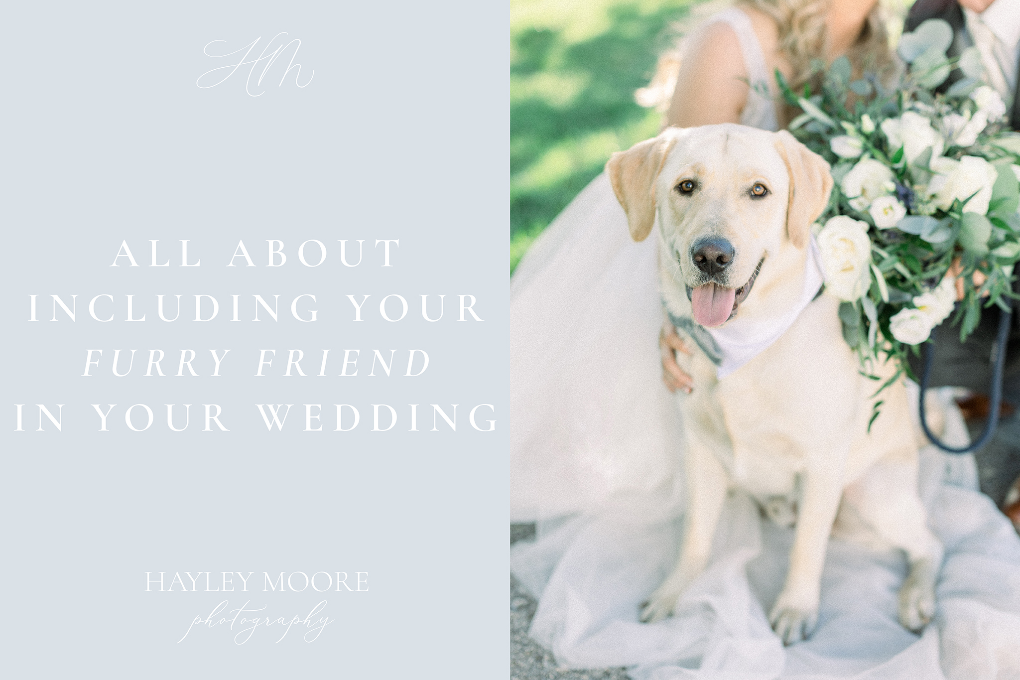 including-your-furry-friend-in-your-wedding-blog