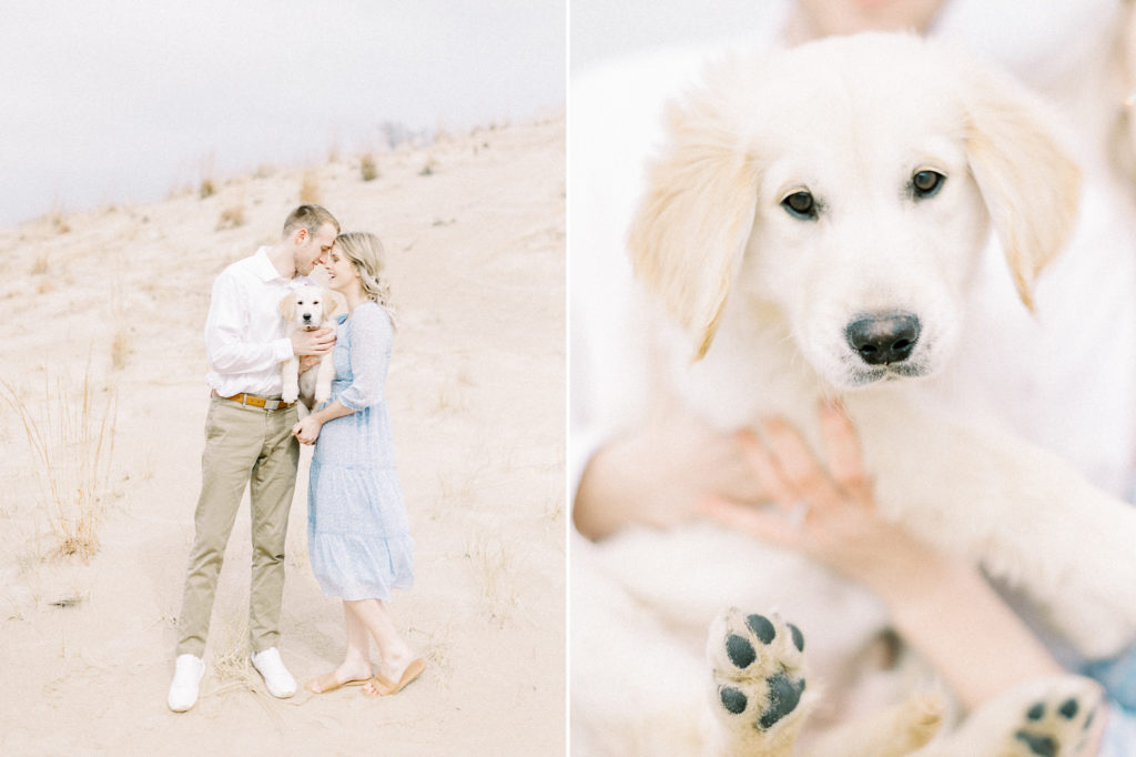 hayley-moore-photography-warren-dunes-state-park-puppy-me-session-tino-golden-retriever