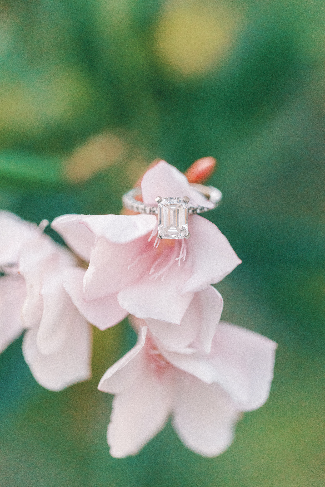 anna-maria-island-florida-engagement-session-hayley-moore-photography