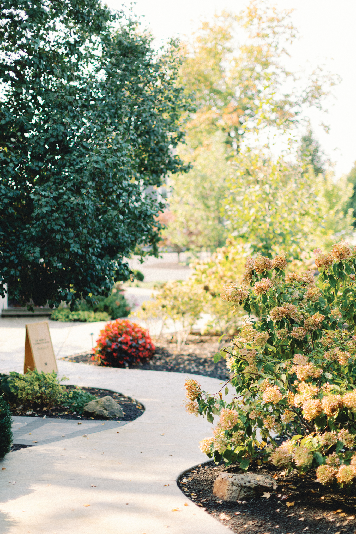 mustard-seed-gardens-luxury-wedding-photographer-hayley-moore-photography