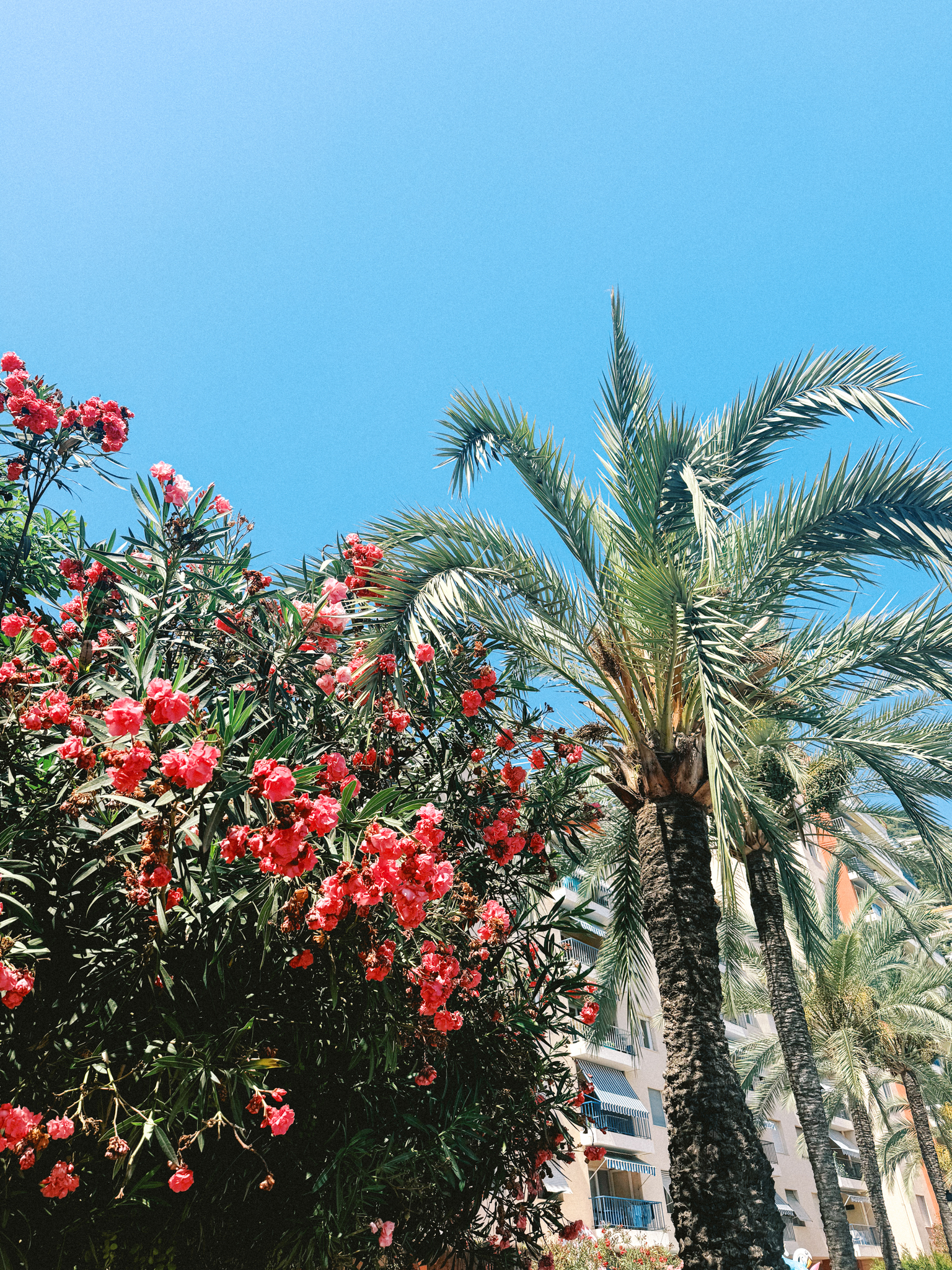 south-of-france-wedding-photographer-nice-france-hayley-moore-photography-1