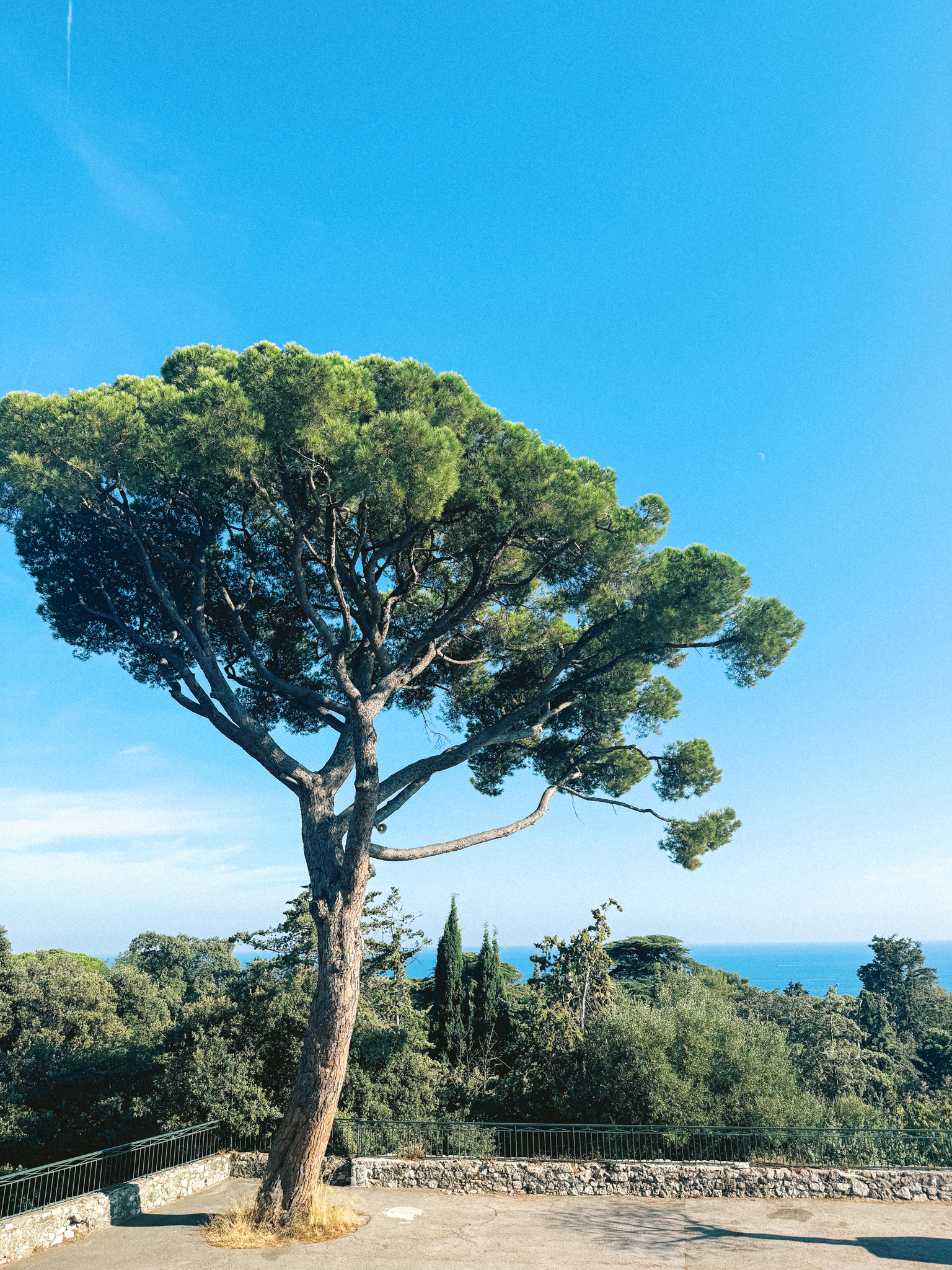 wedding-south-of-france-wedding-photographer-nice-france-travel-photos-hayley-moore-photography