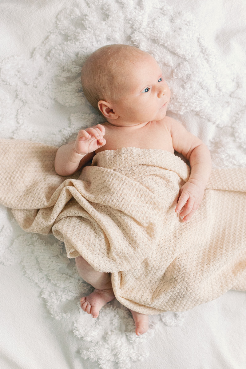 newborn baby portrait 