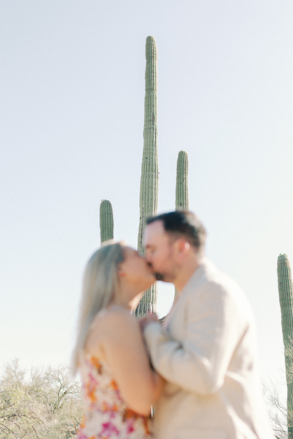 cacti in focus behind couple