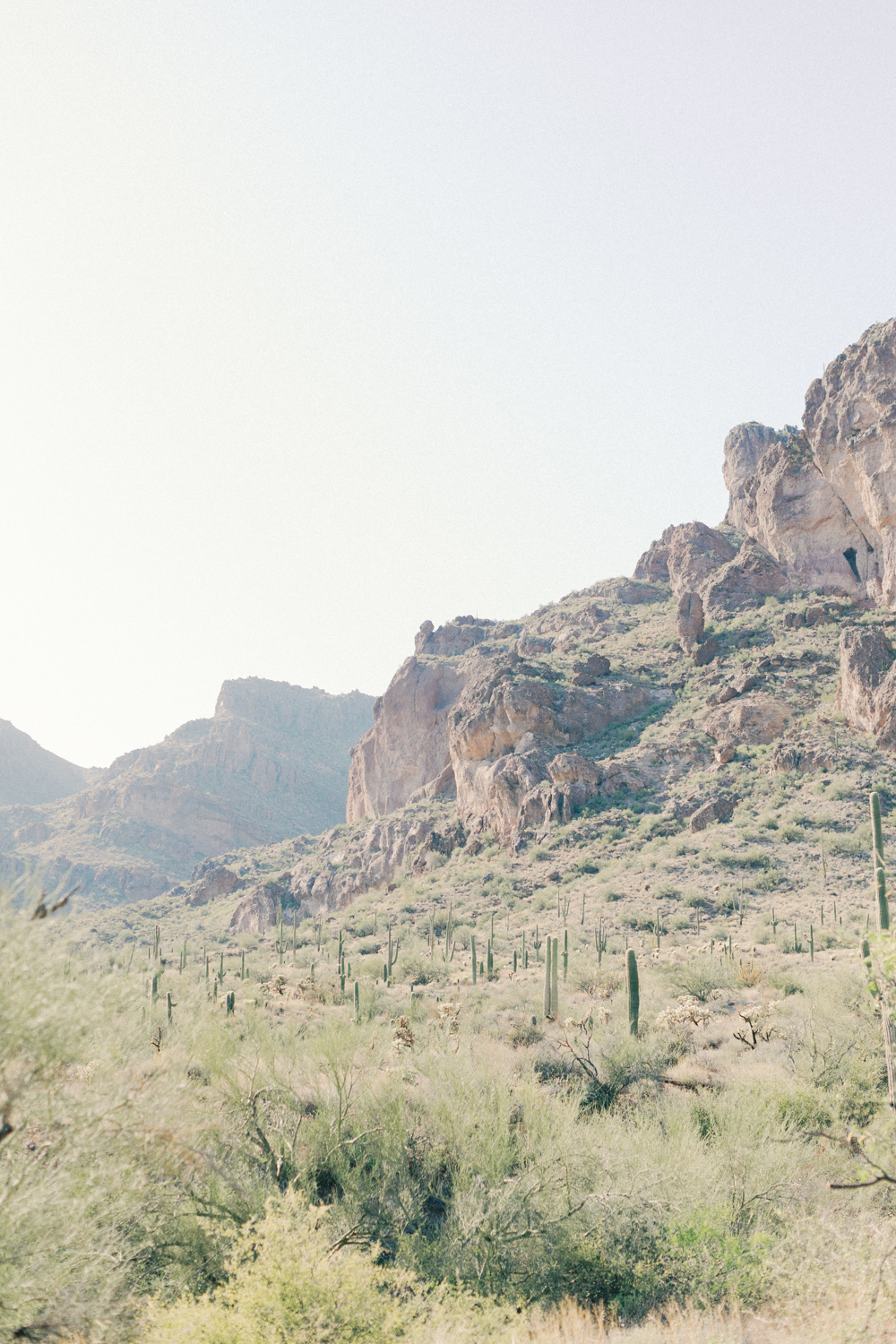 desert landscape