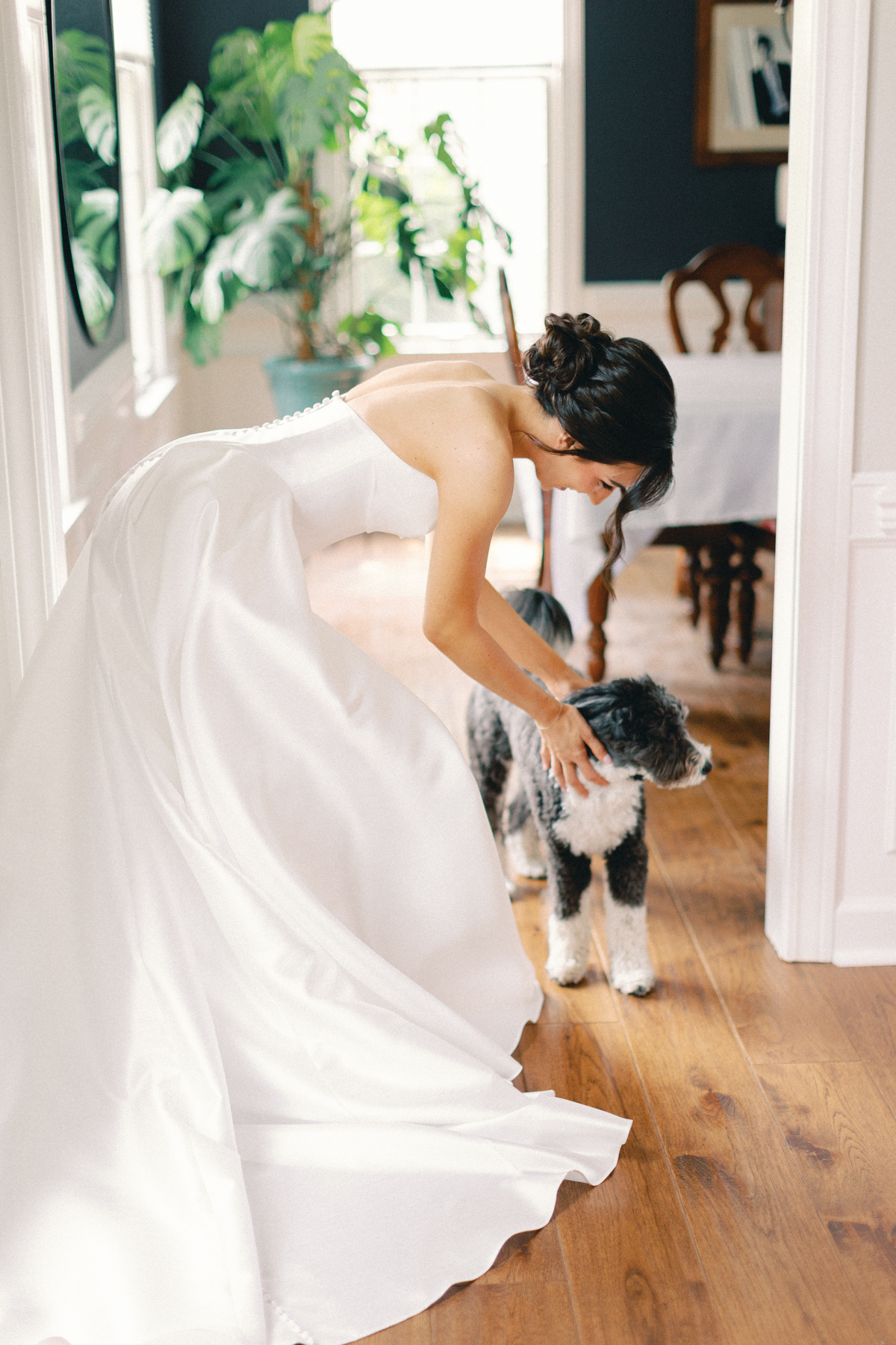 bride with dog