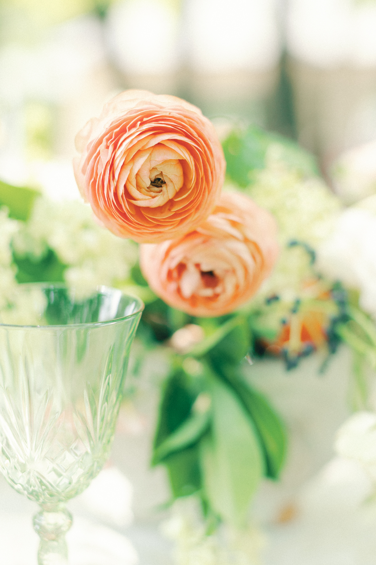 Up close of flowers on on