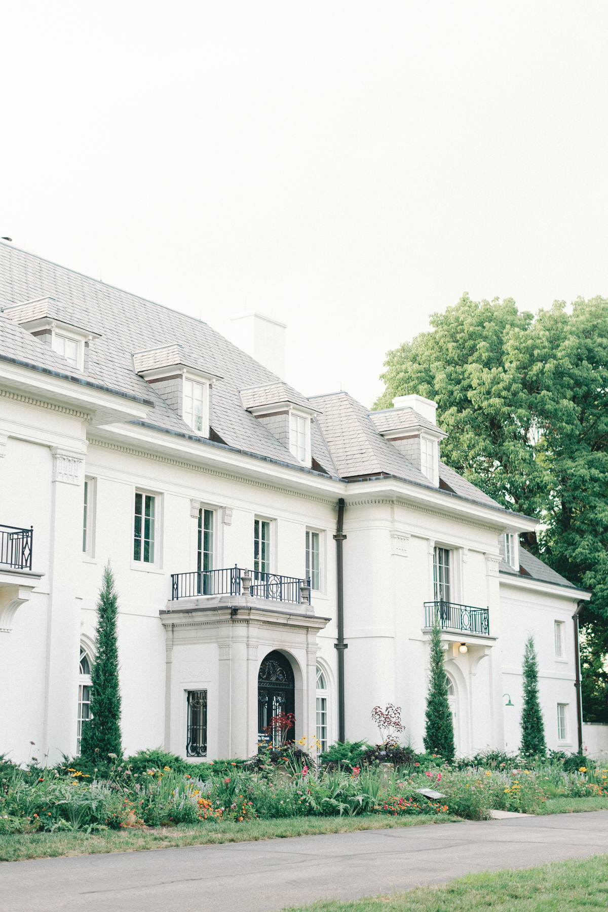  the Lili House landscape