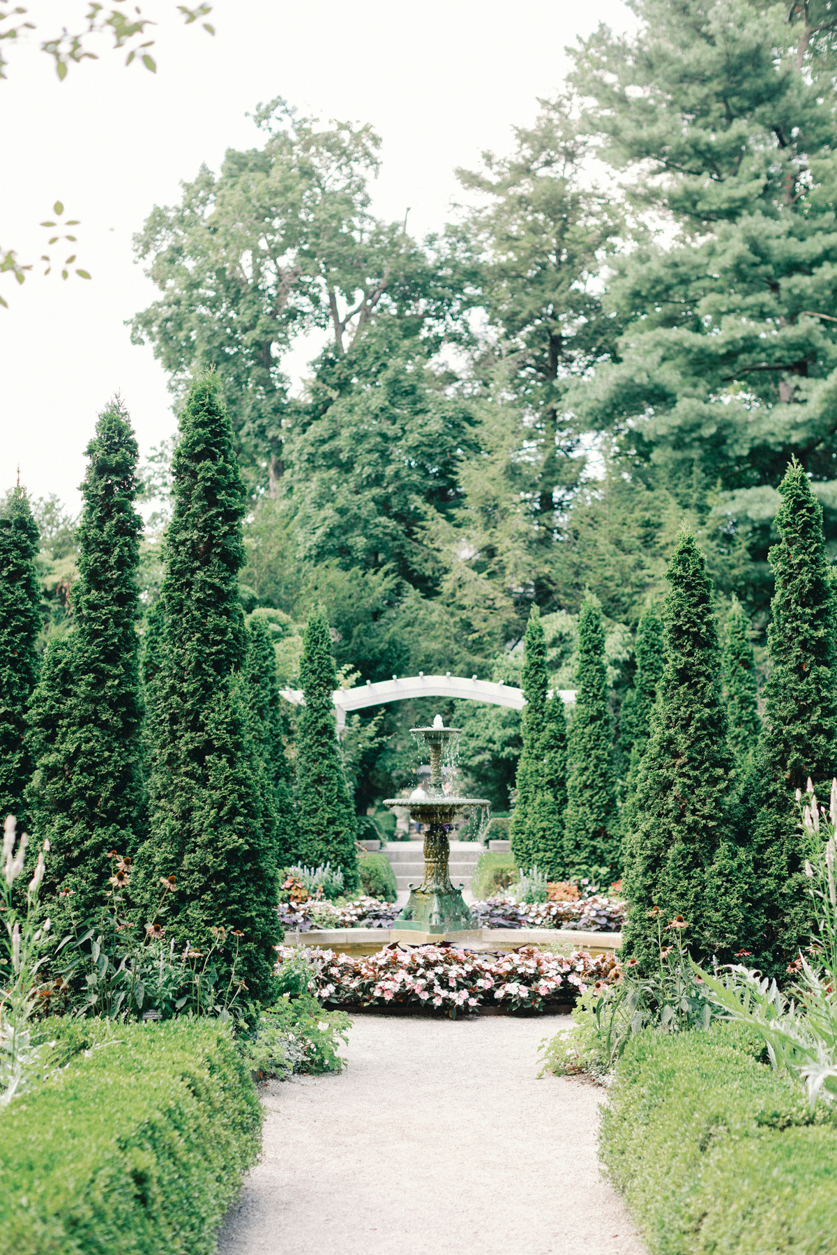 Garden fountain landscape