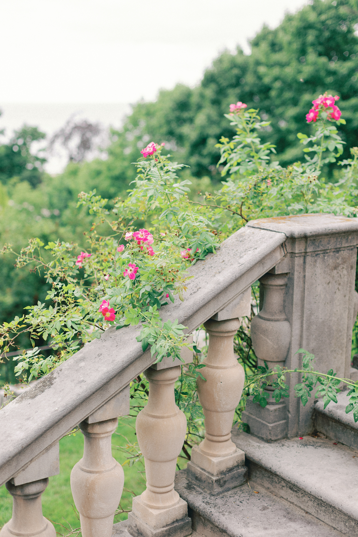 Flowers on staircase at Villa Terrace