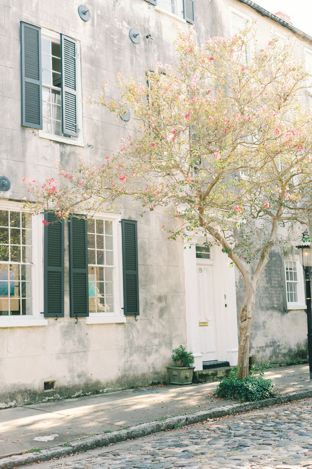Charleston alleyway