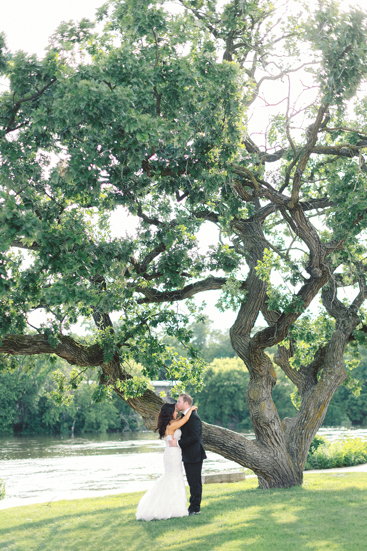 couple kissing in front of oak tree