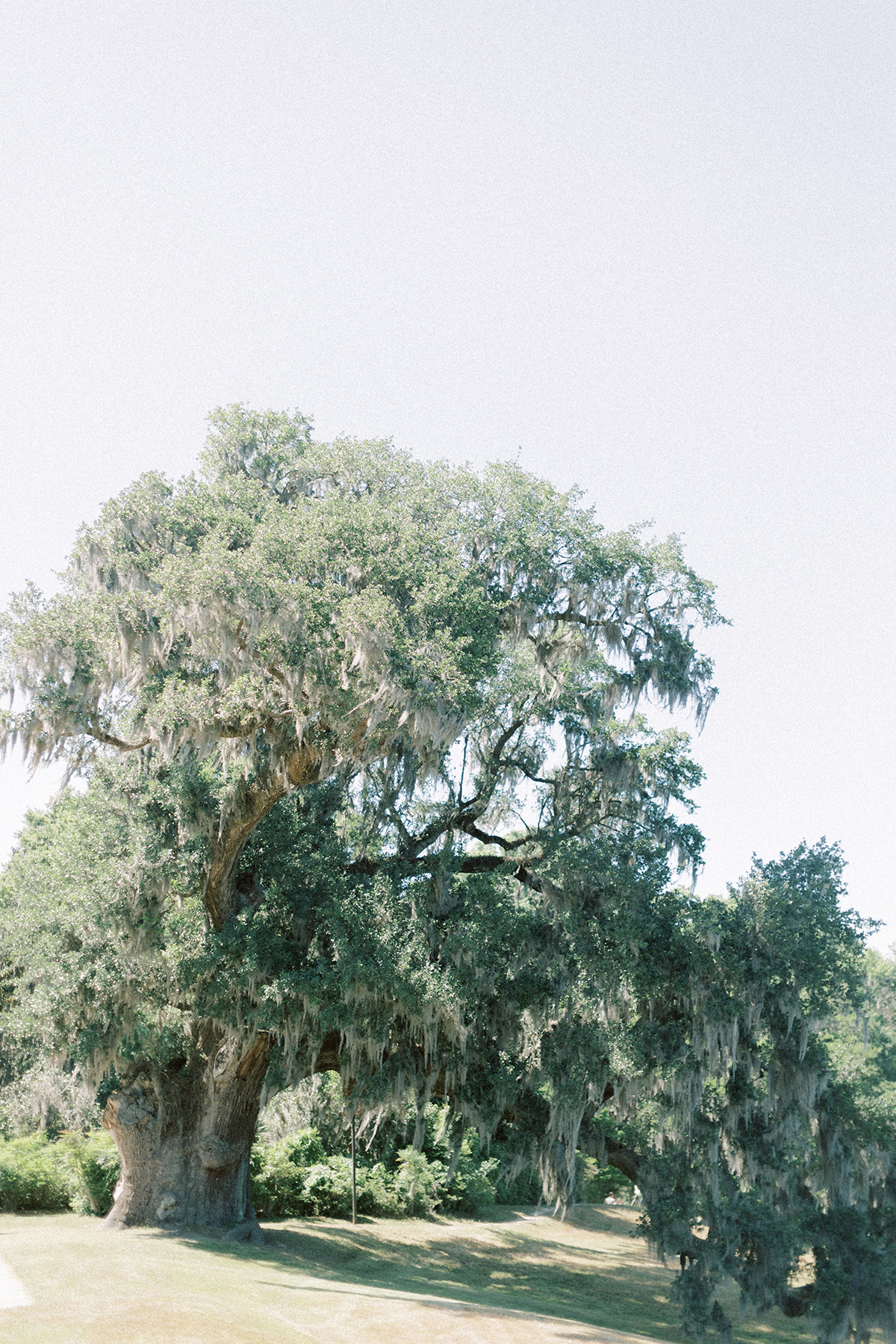 landscape shot of venue