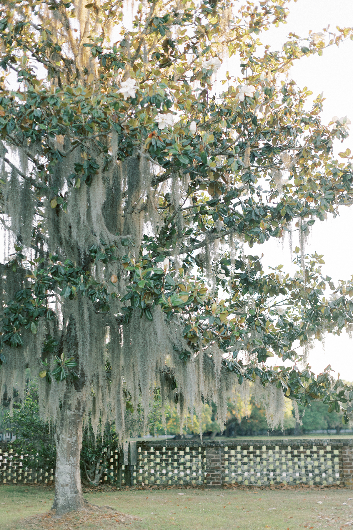 landscape shot of venue