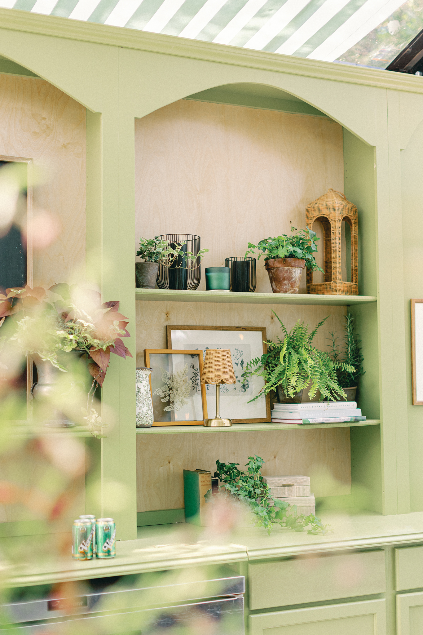 sage green bar shelving with botanicals and wicker accents inside the clear structure at Greencrest Manor wedding