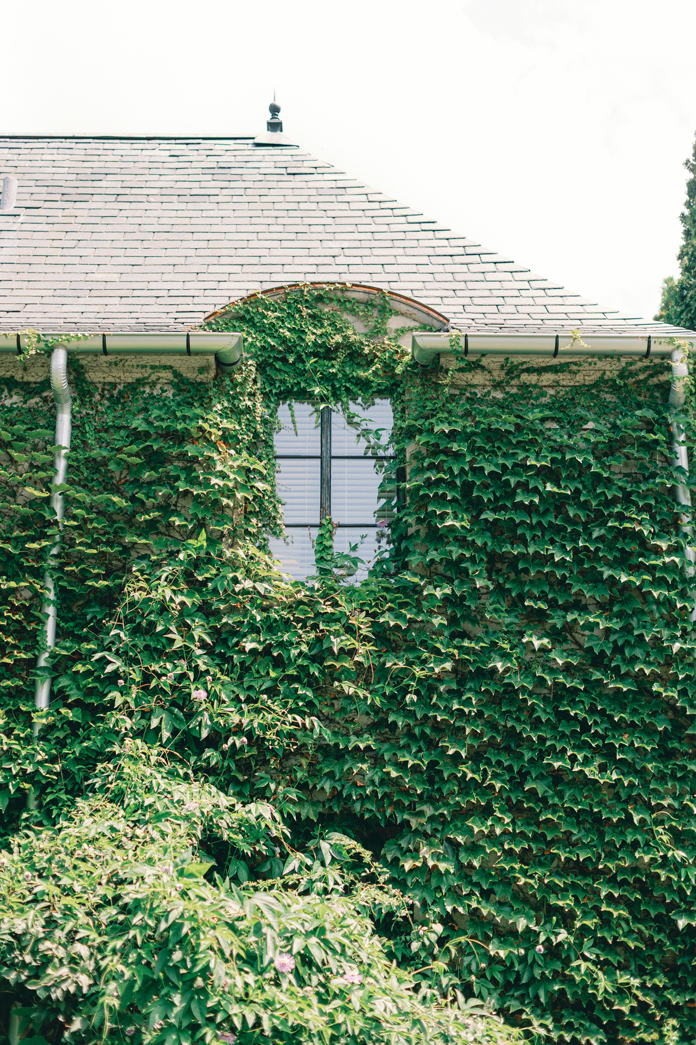 ivy-covered side exterior with oval window at Greencrest Manor estate wedding venue Battle Creek Michigan